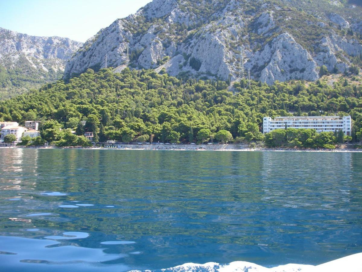 Dream House Ivana & Toni Gradac  Extérieur photo